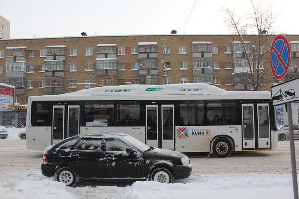 Мэрия Сыктывкара предложила способы пожаловаться на автобусы — КомиОнлайн