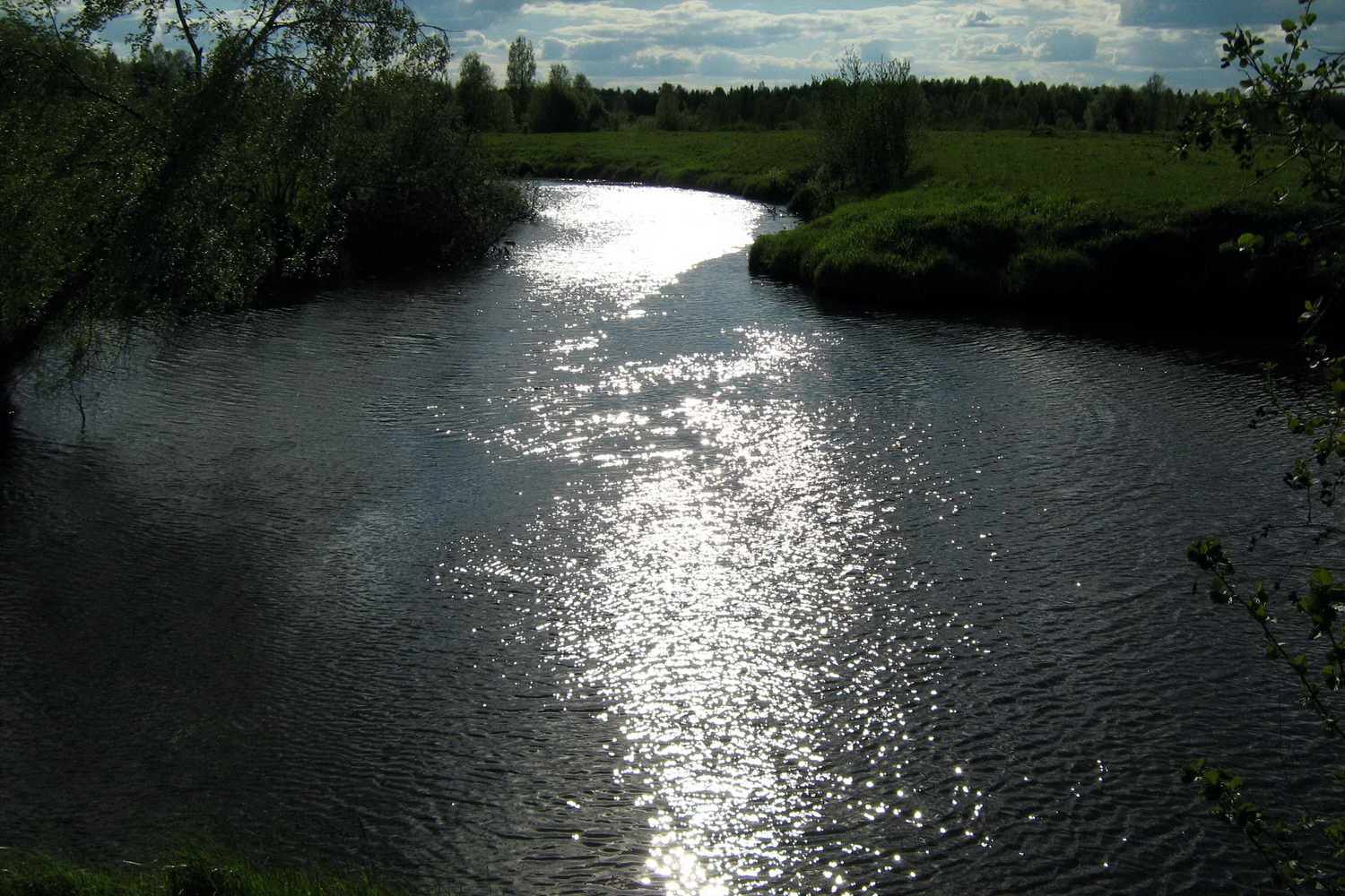 река боровая