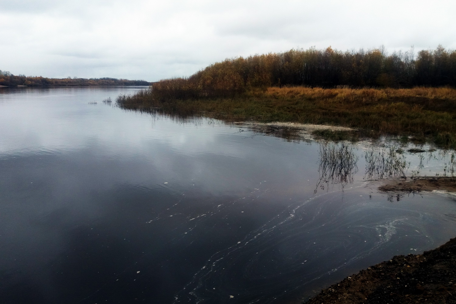 Река Печора вода.