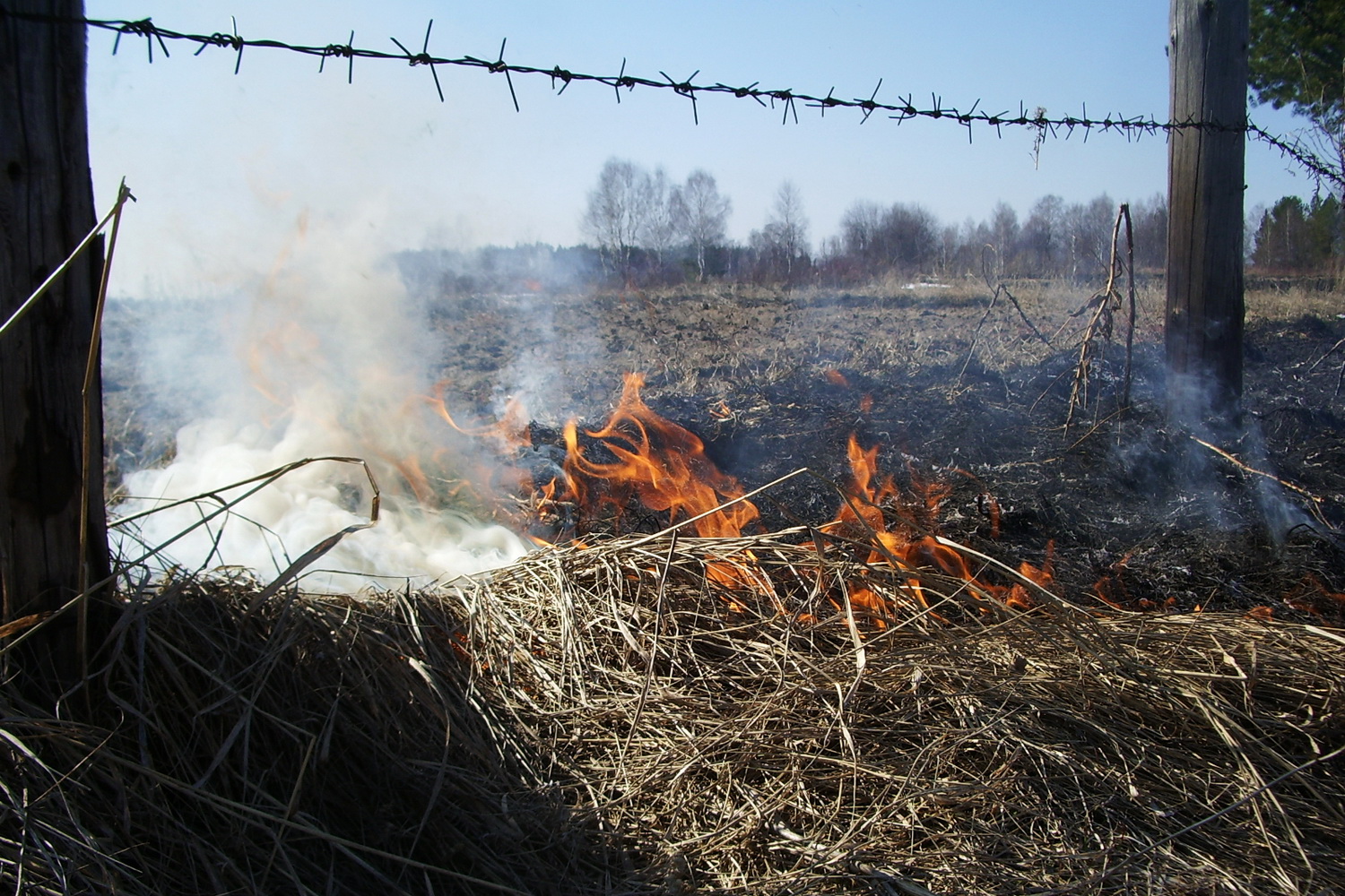 Перечень населенных пунктов подверженных лесным пожарам. Пожар в лесу. Лесные пожарные. Лесные пожары для детей. Зоны пожара.